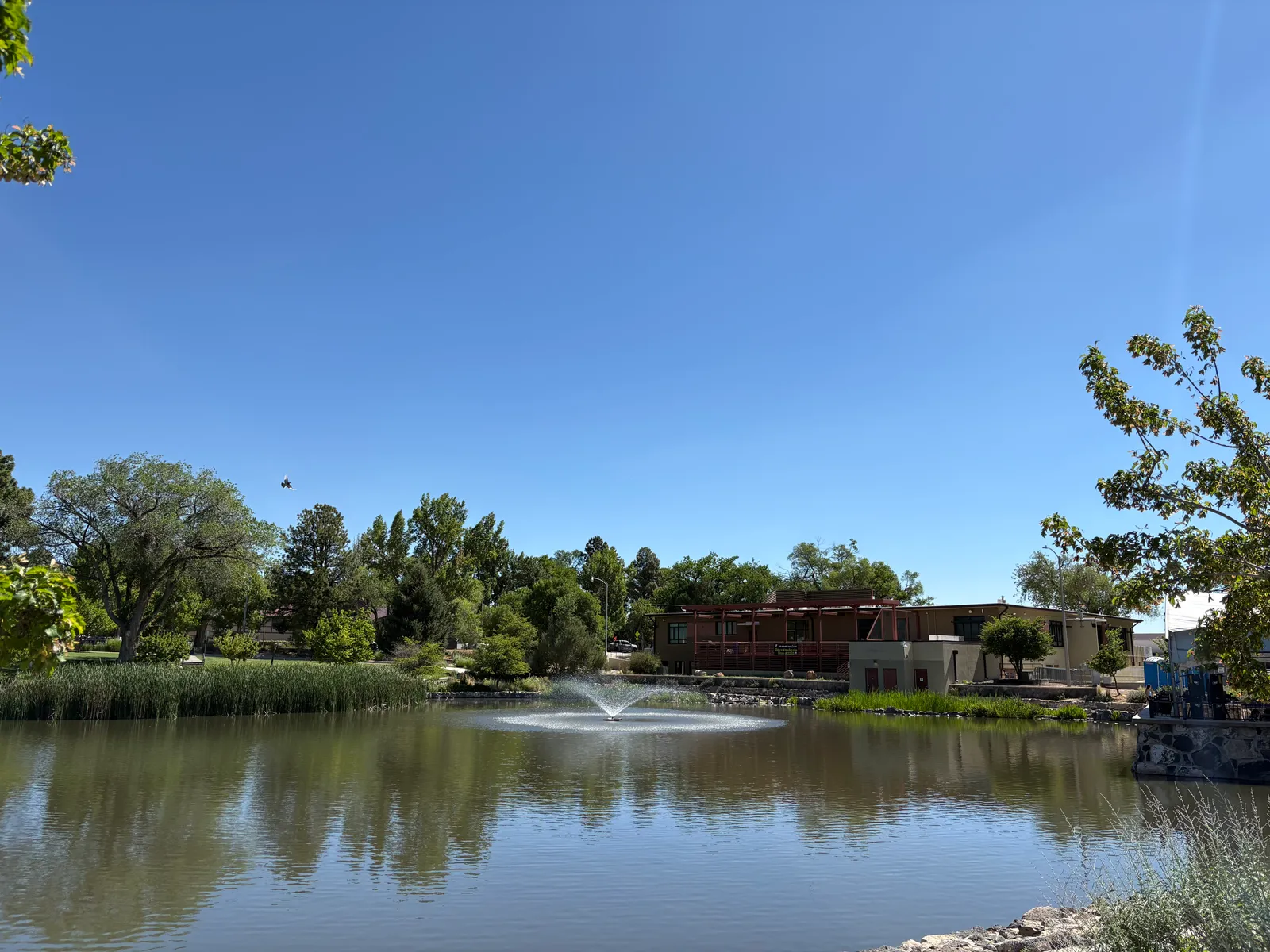 Ashley Pond in Los Alamos