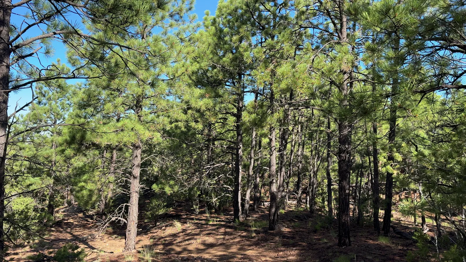 Photograph of Atalaya6 at Atalaya Mountain, New Mexico.