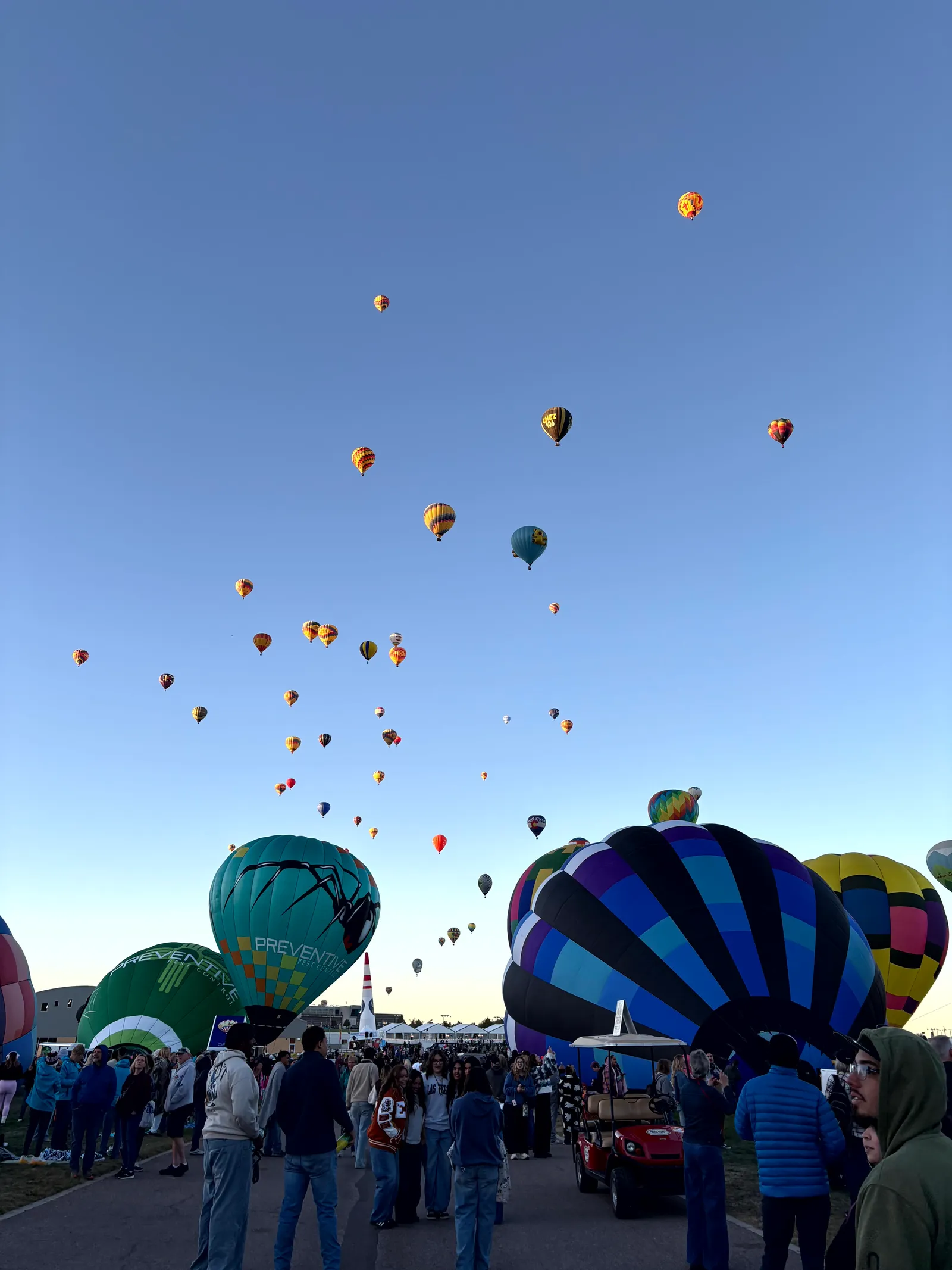 Photograph of Balloon Fiesta2 at Albuquerque, New Mexico.