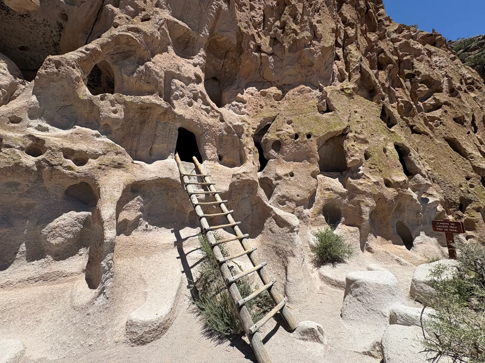 Photograph of Bandelier Cliff at Bandelier National Monument, New Mexico.