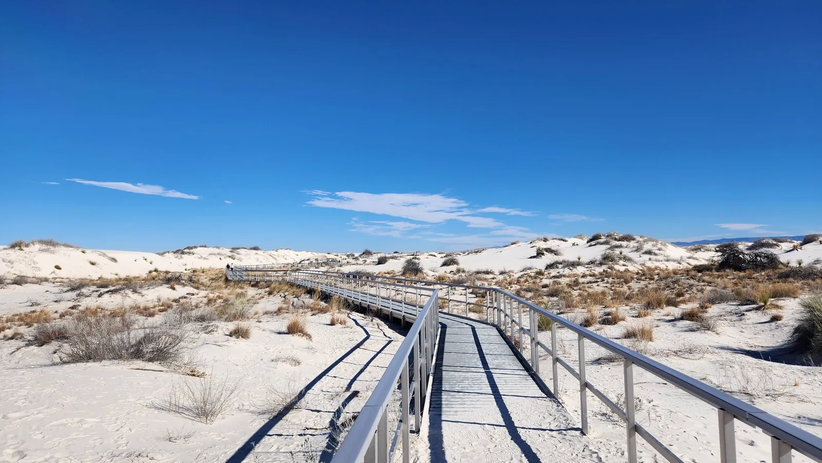 Photograph of Board Walk at White Sands National Park, New Mexico.
