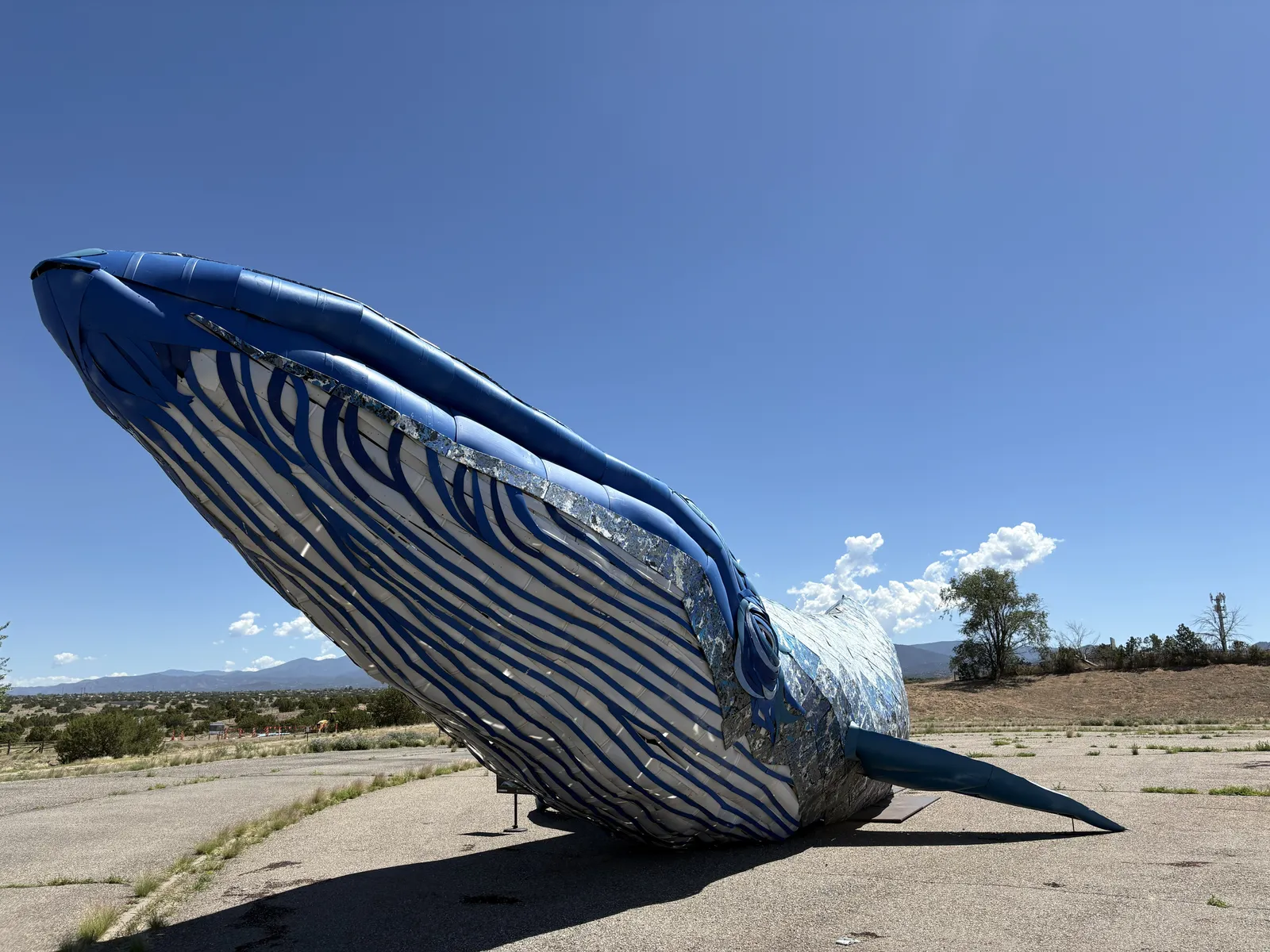 Photograph of Ethyl at Ethyl The Whale, New Mexico.
