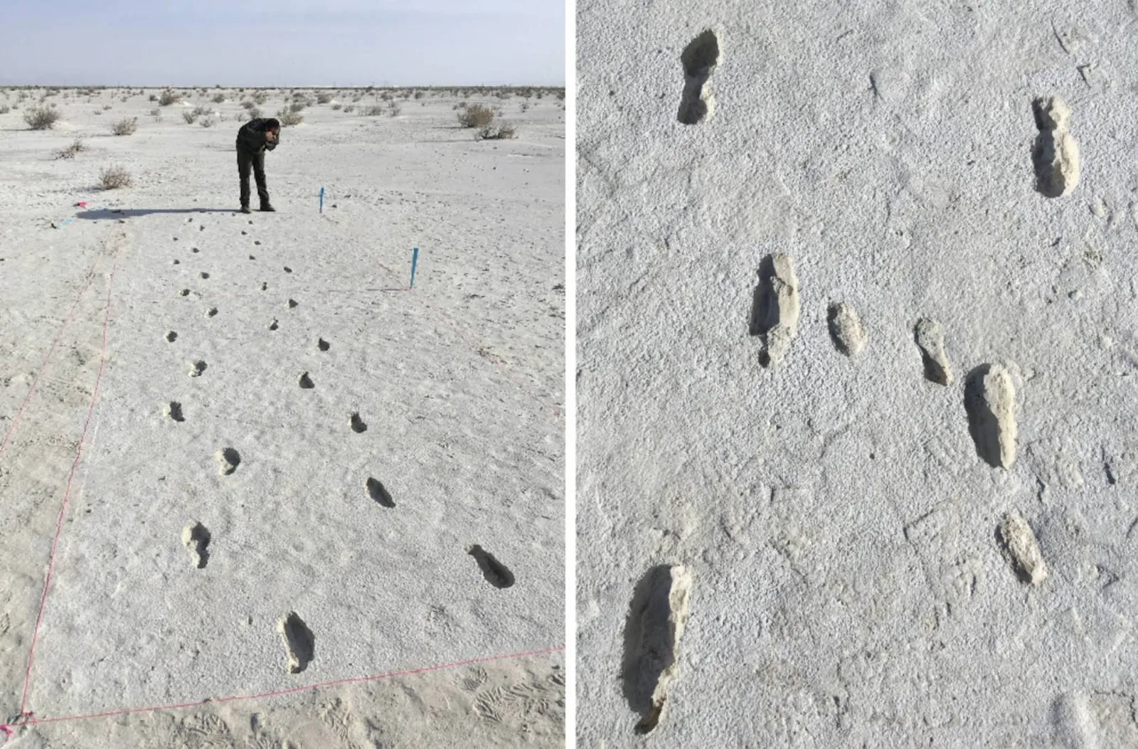 Photograph of Foot Prints at White Sands National Park, New Mexico.