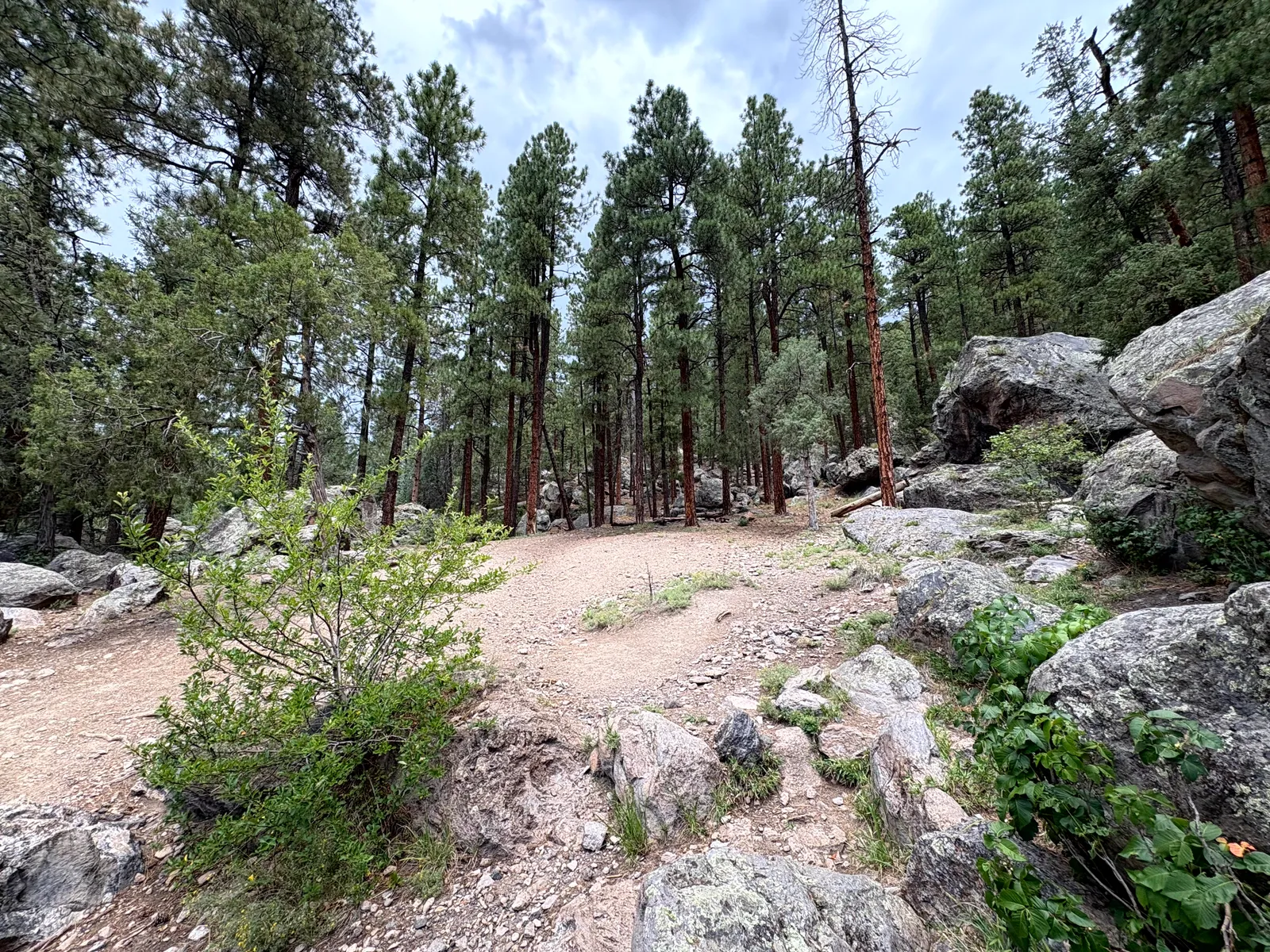 Spence Hot Springs from a distance