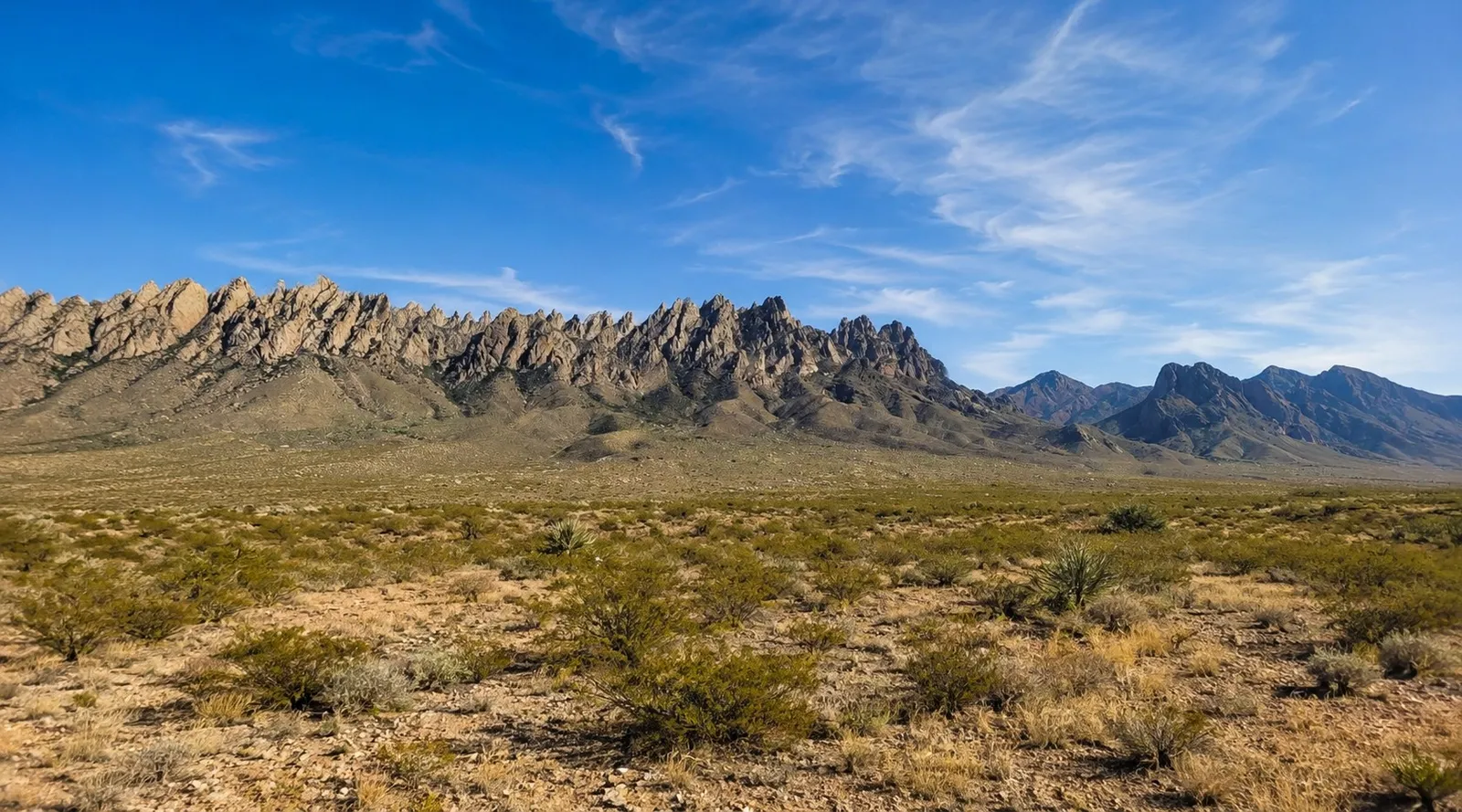 Photograph of Organ at Organ Desert Peaks National Monument, New Mexico.