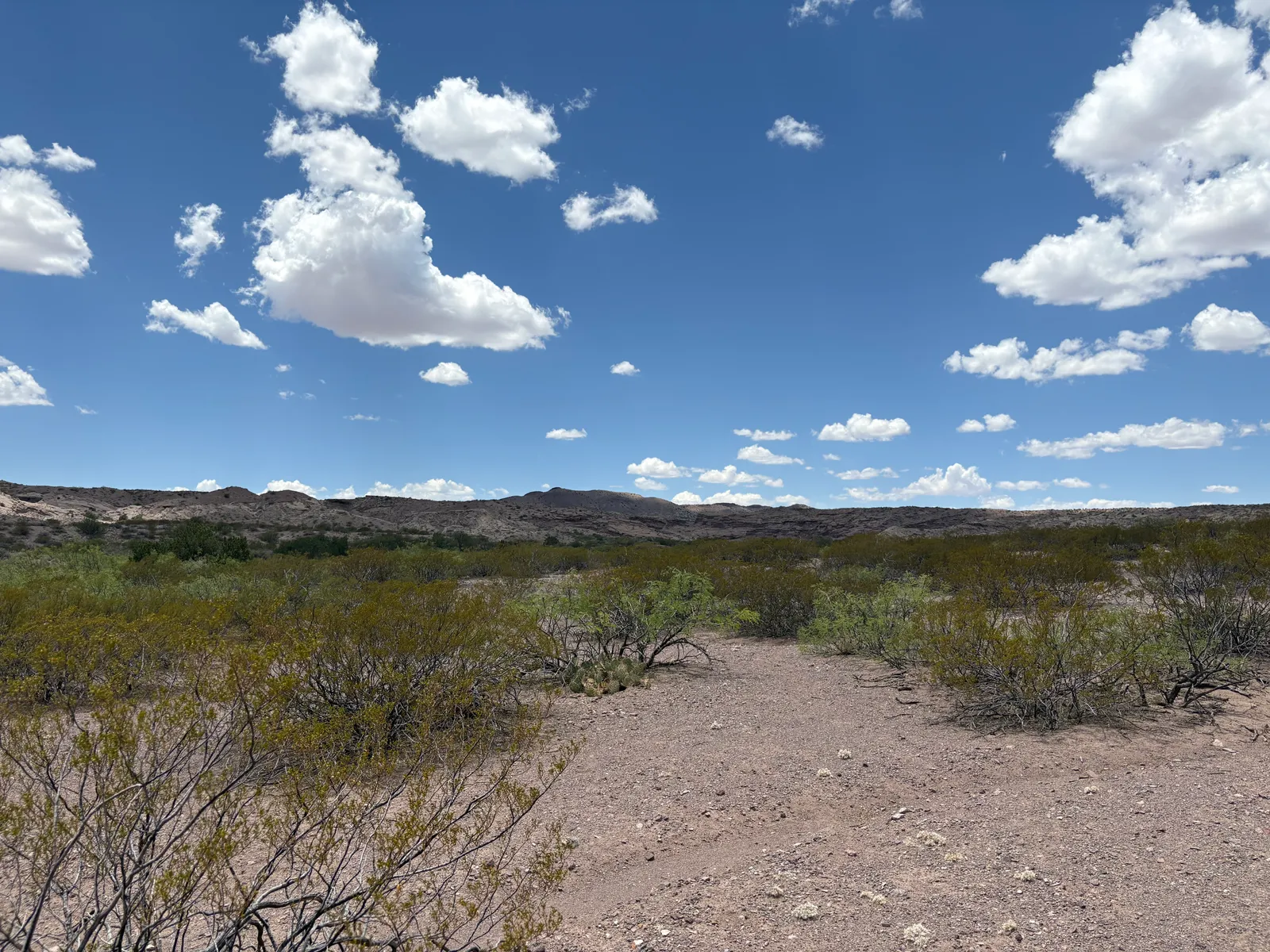 Photograph of San Lorenzo5 at San Lorenzo Canyon, New Mexico.