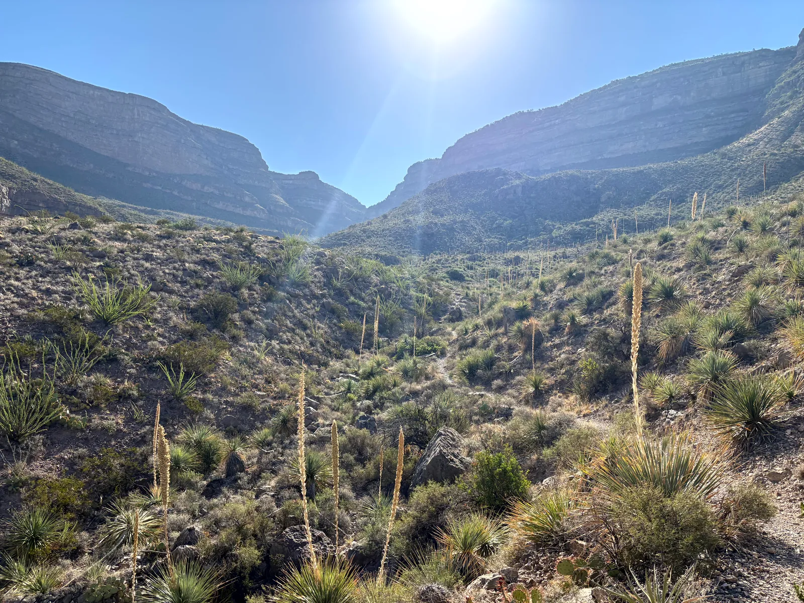 Photograph of Mesa2 at Oliver Lee Memorial State Park, New Mexico.