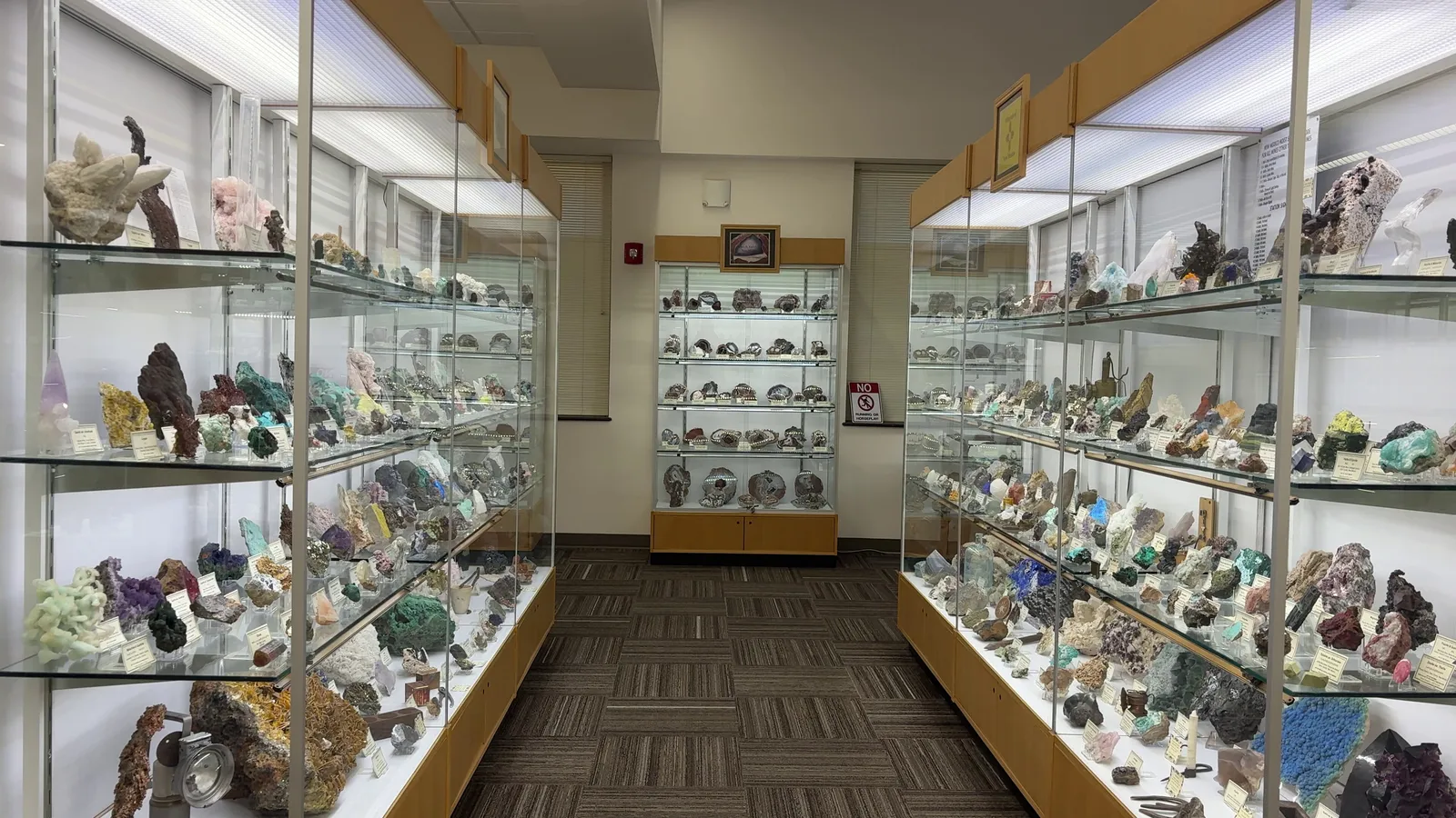 Mineral displays at the New Mexico Tech Mineral Museum