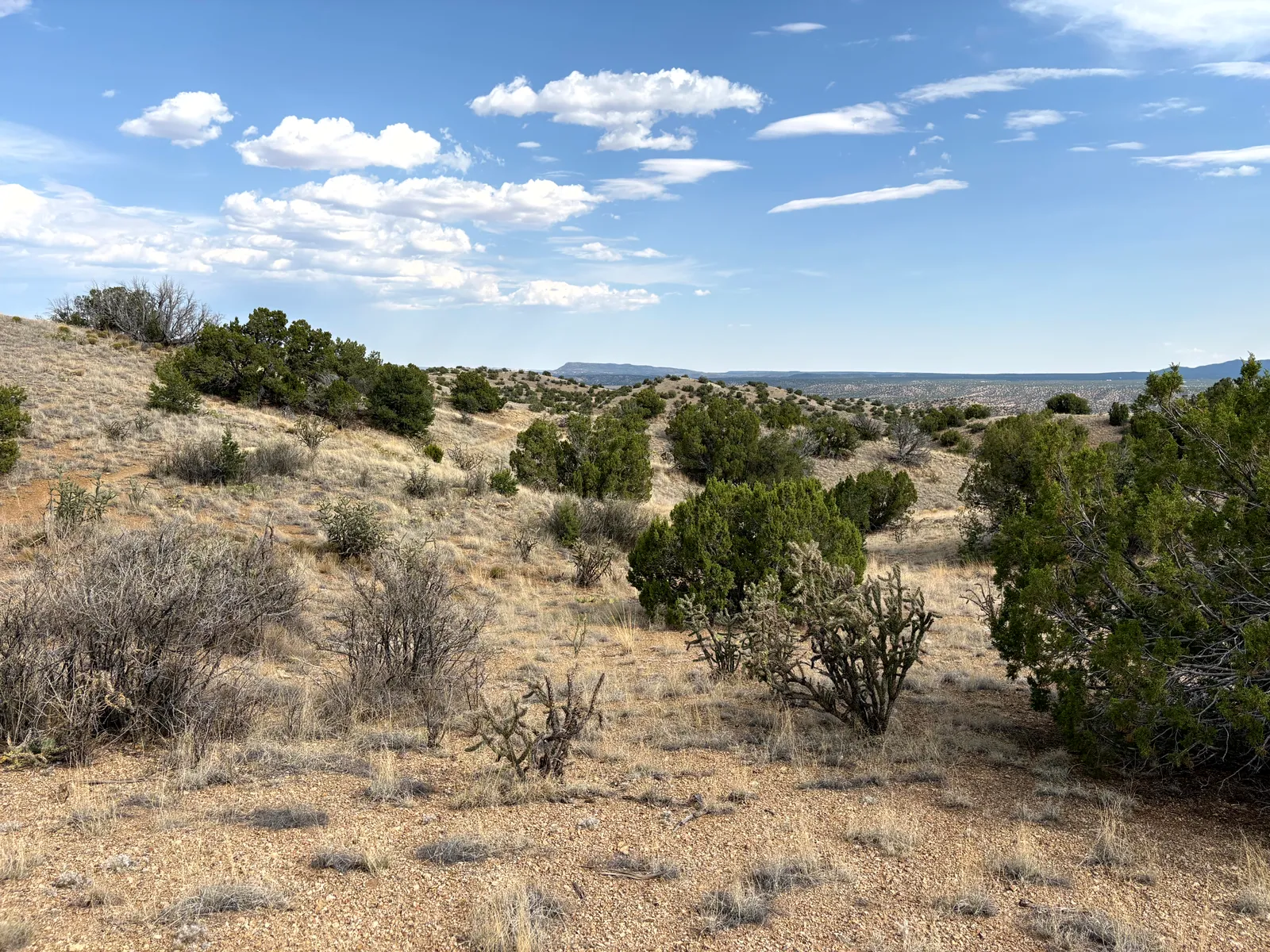 Photograph of Park7 at Cerrillos Hills State Park, New Mexico.
