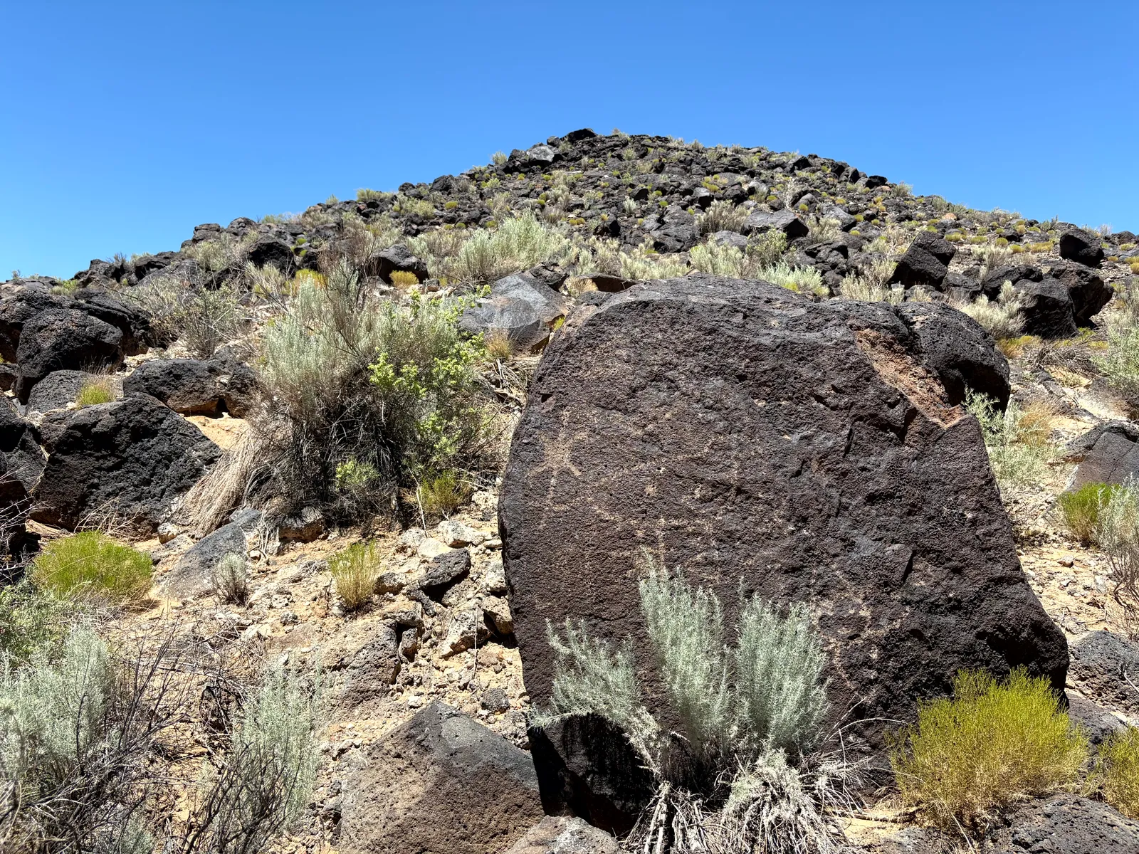 Photograph of Petroglyph Nat2 at Petroglyph National Monument, New Mexico.