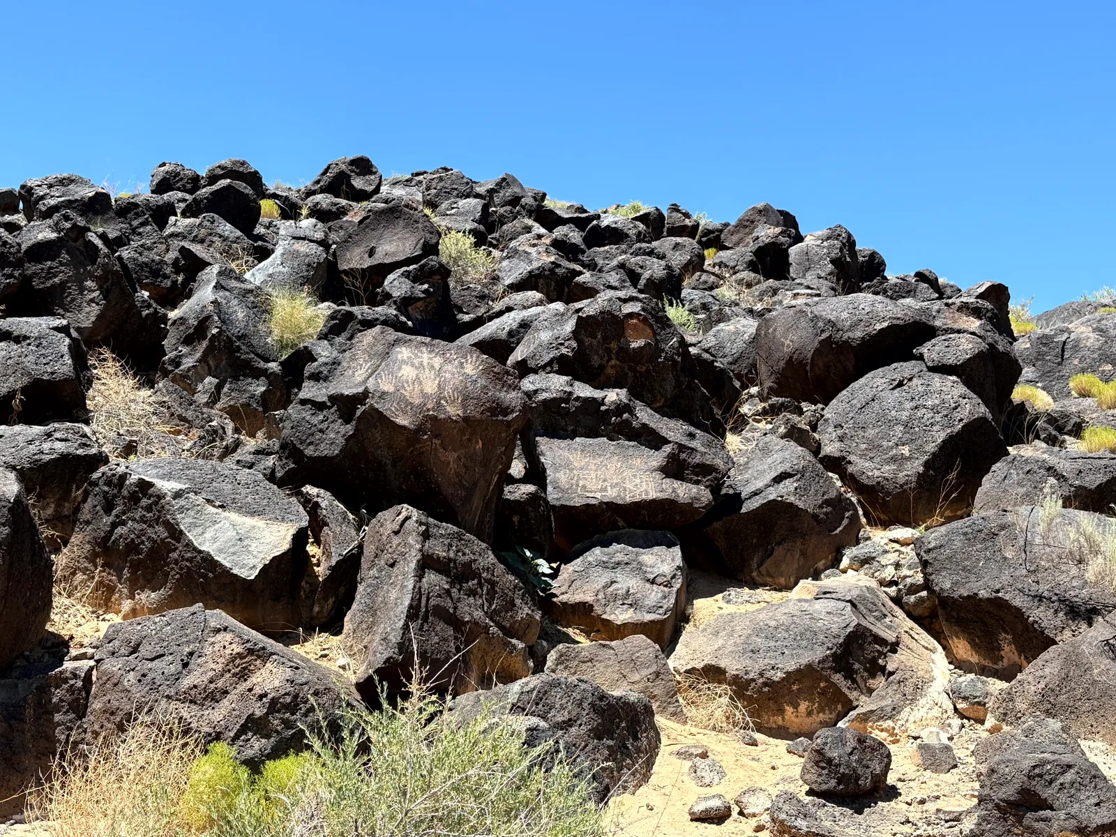 Photograph of Petroglyph Nat3 at Petroglyph National Monument, New Mexico.