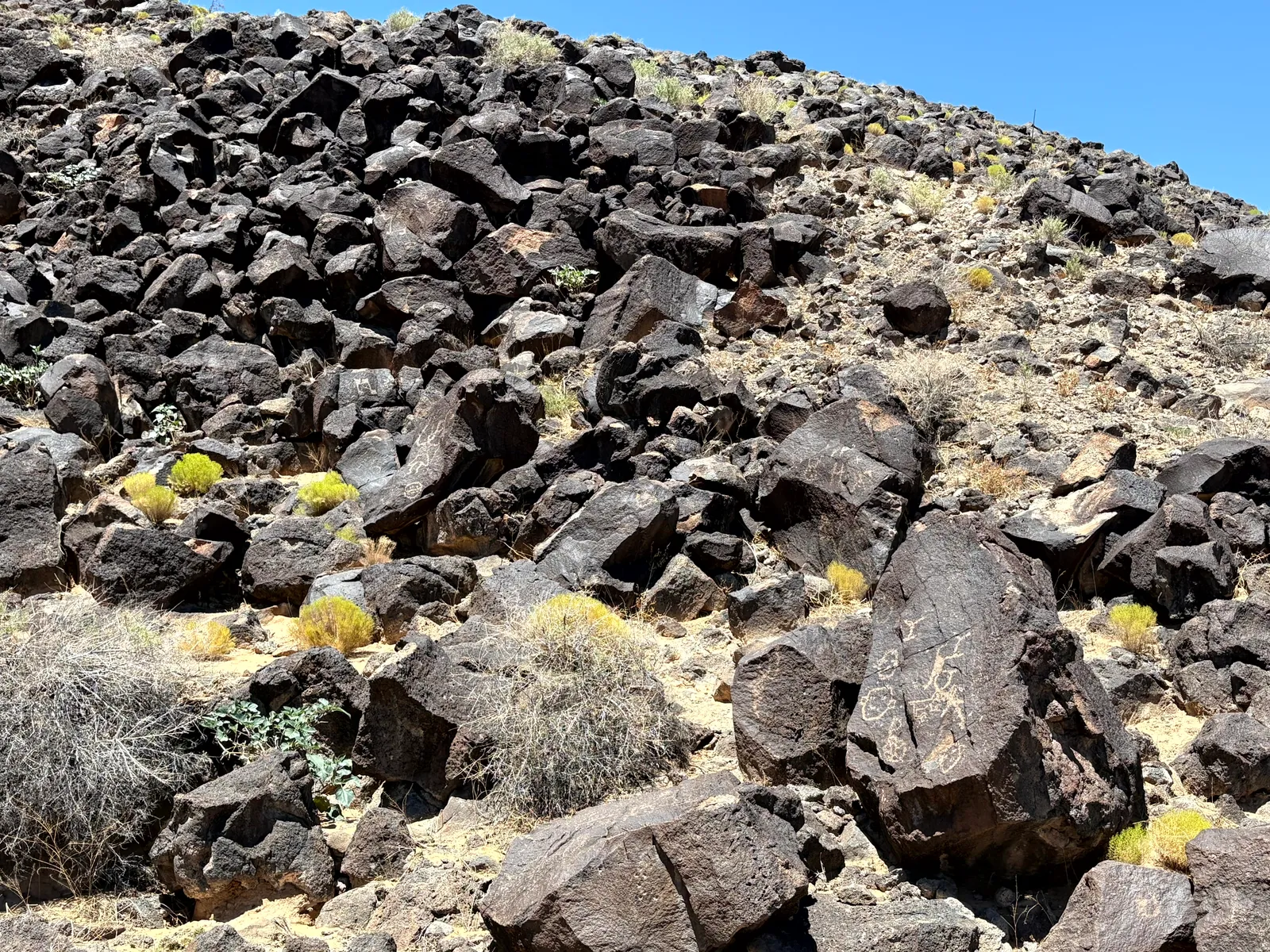 Photograph of Petroglyph Nat5 at Petroglyph National Monument, New Mexico.