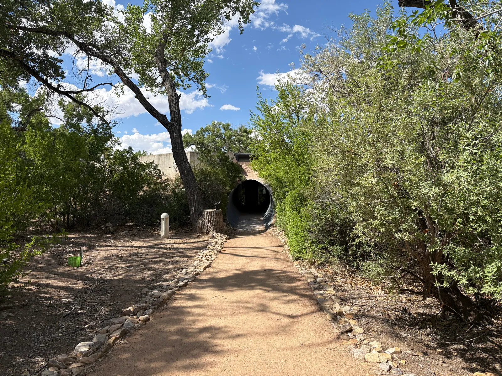 Photograph of Rio Grande State Park2 at Rio Grande Nature Center State Park, New Mexico.