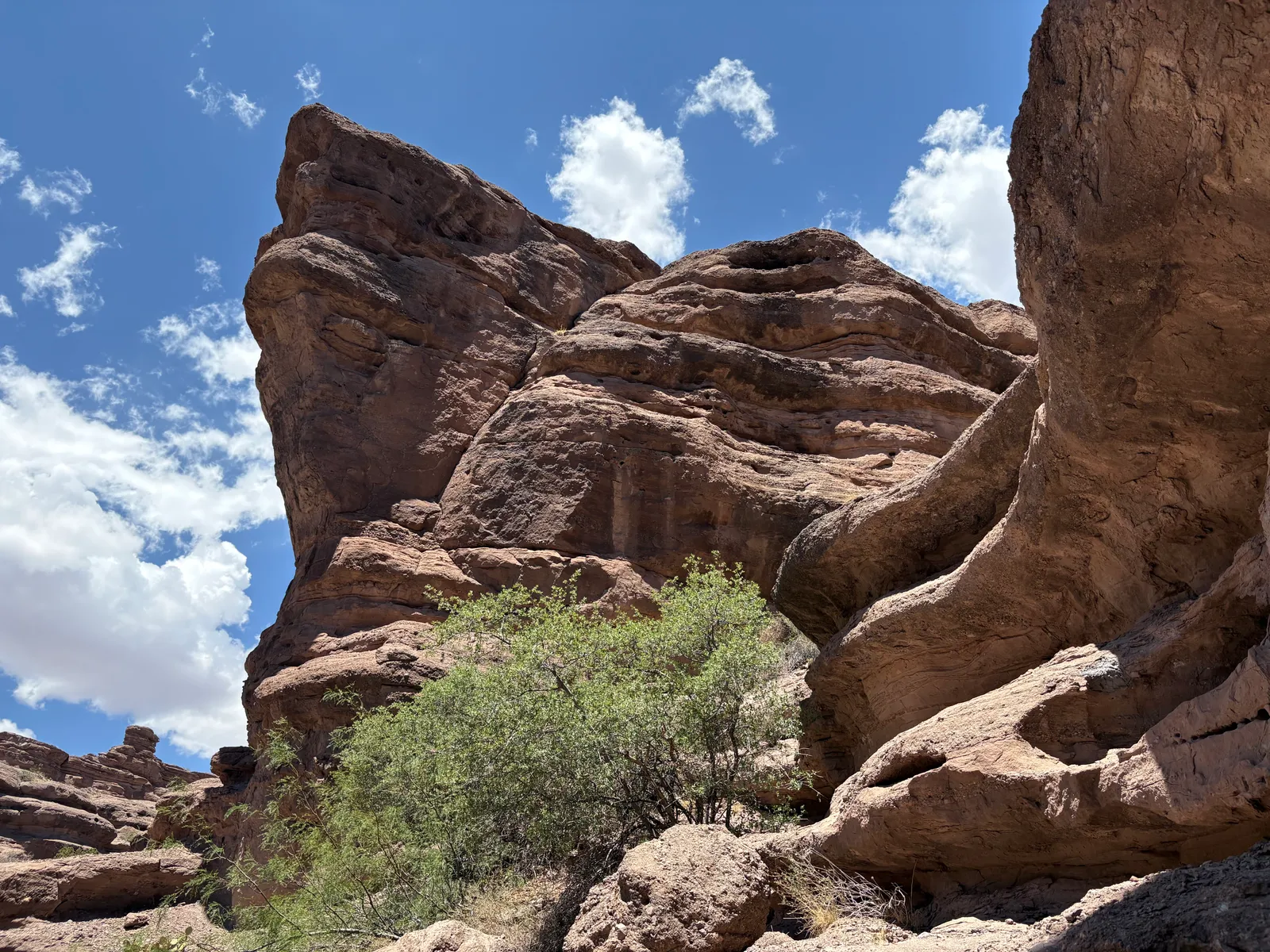Photograph of San Lorenzo3 at San Lorenzo Canyon, New Mexico.