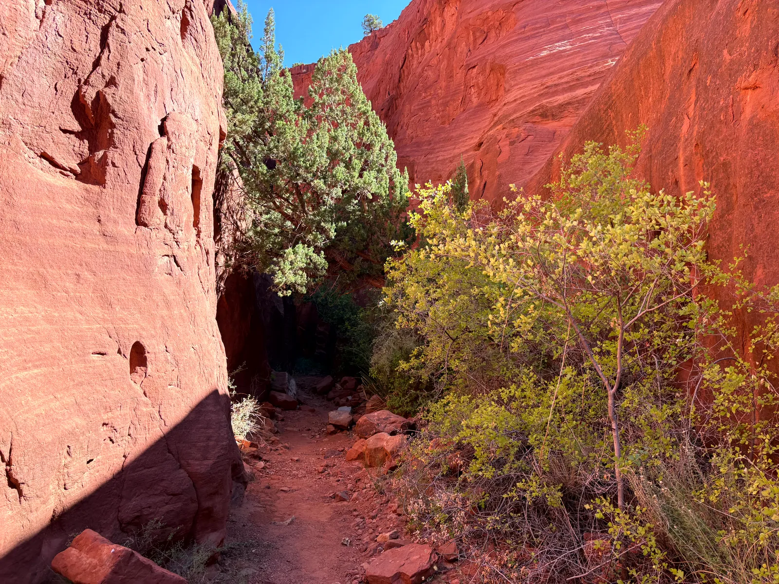 Narrow passage in Walatowa Slot Canyon