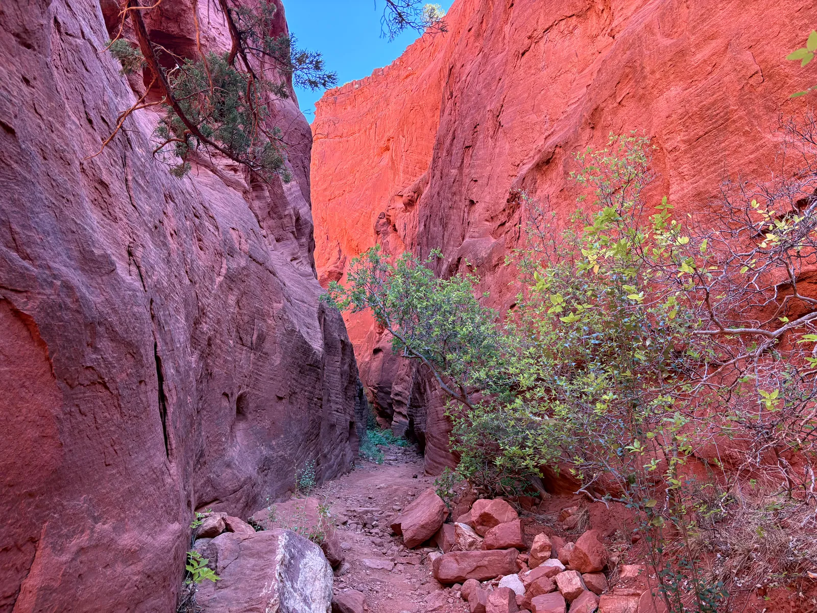 Red sandstone walls of Walatowa Slot Canyon