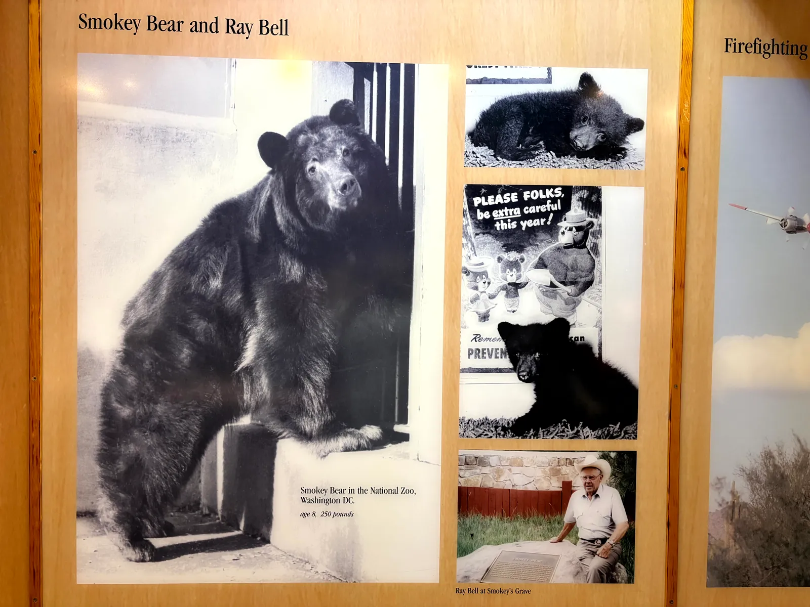 Smokey Bear Historical Park buildings