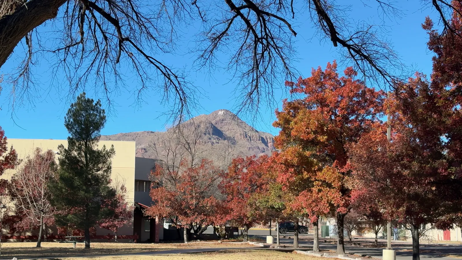 Photograph of Tech5 at Socorro, New Mexico.