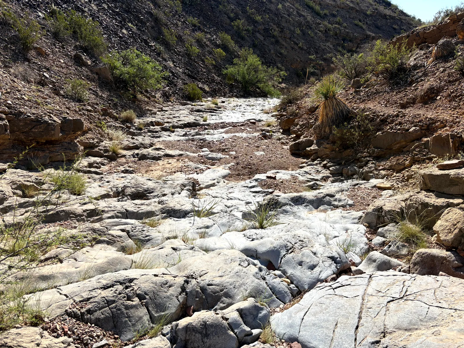 Photograph of Tracks2 at Prehistoric Trackways National Monument, New Mexico.