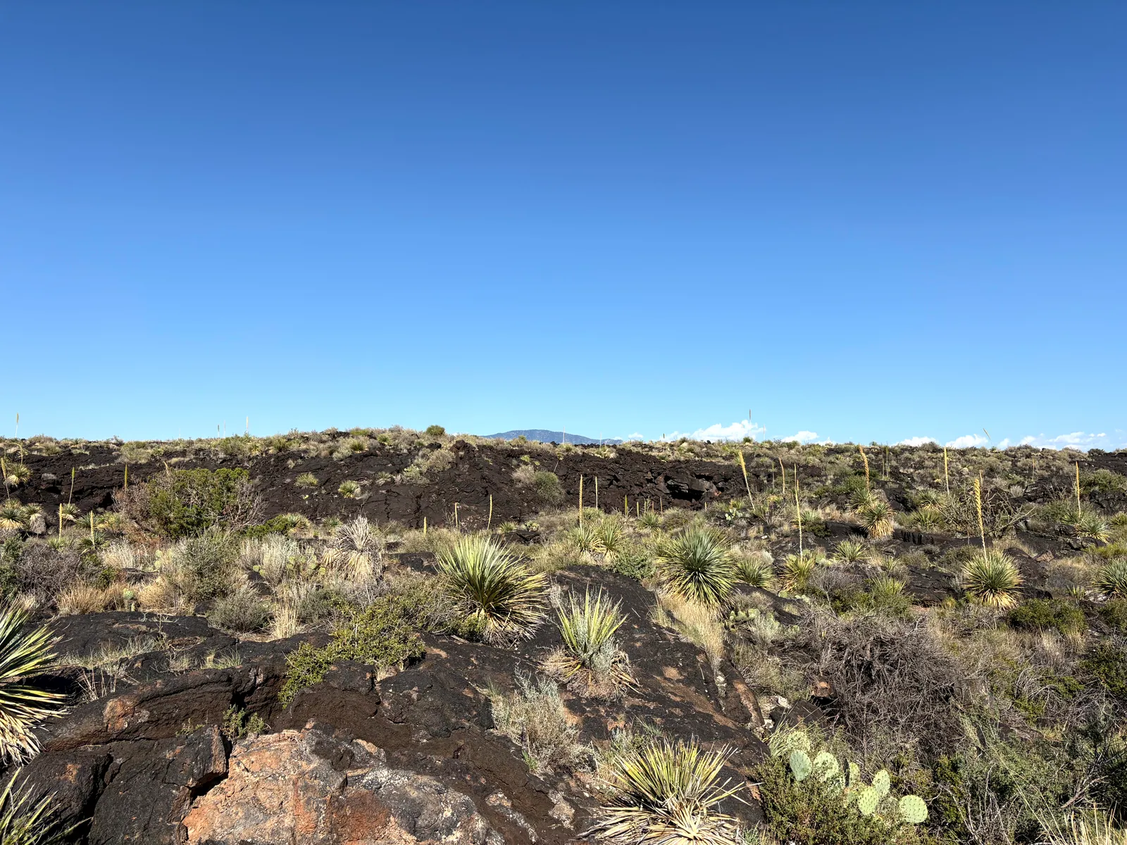 Valley of Fires lava field