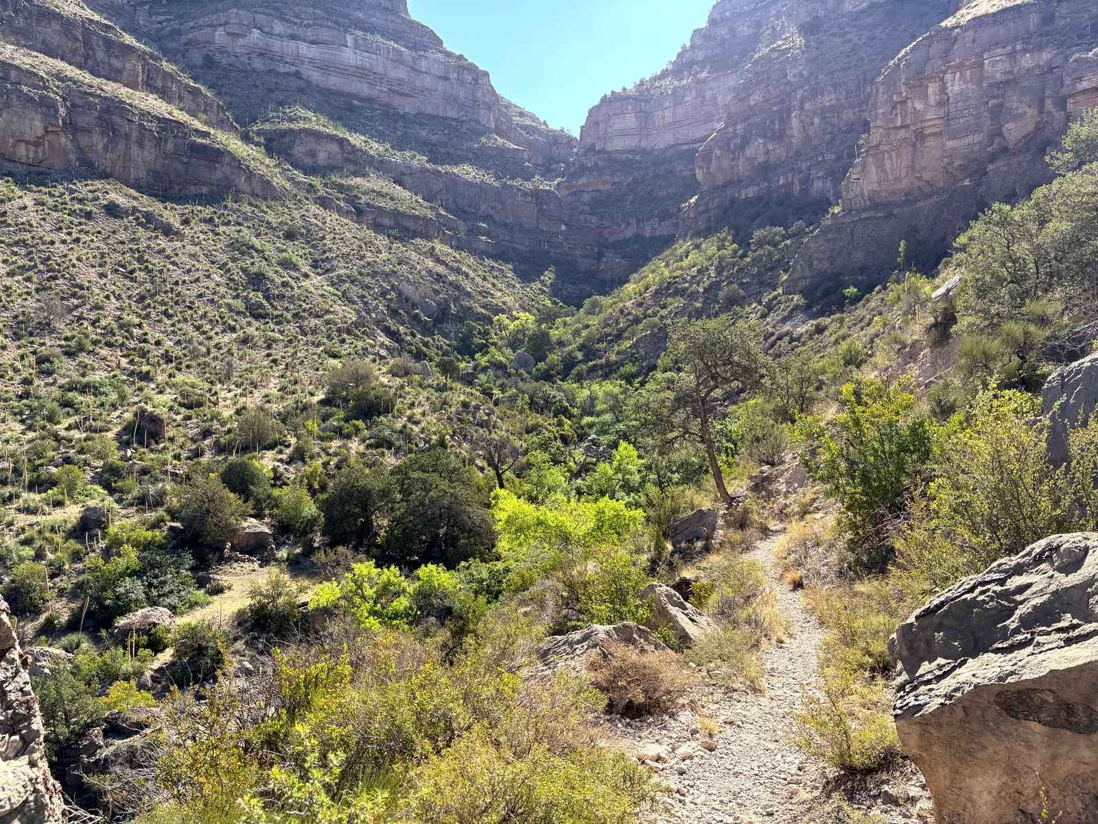 Photograph of Valley at Oliver Lee Memorial State Park, New Mexico.