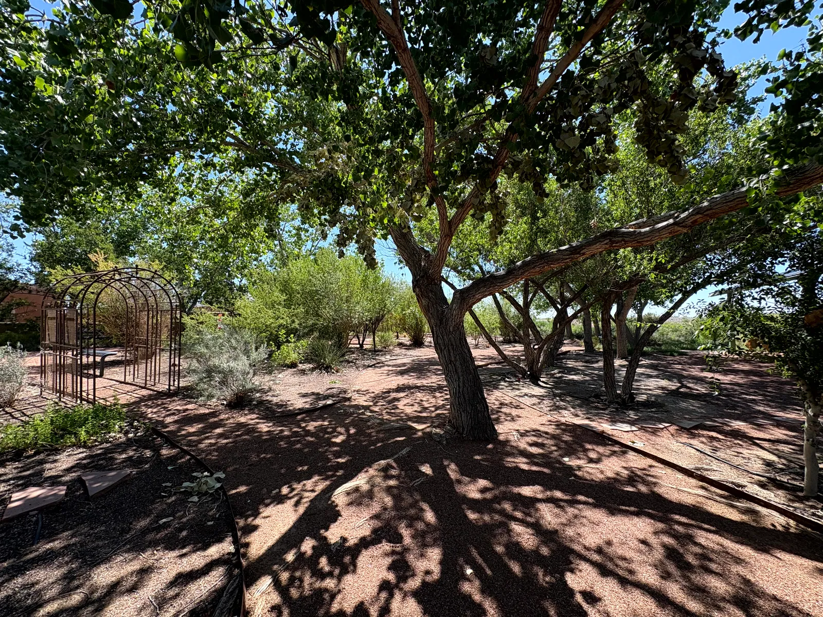 Photograph of Visitor3 at Mesilla Valley Bosque State Park, New Mexico.