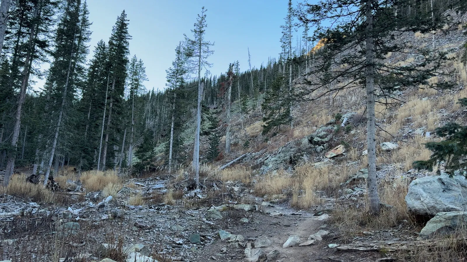 Photograph of Williams3 at Williams Lake, New Mexico.