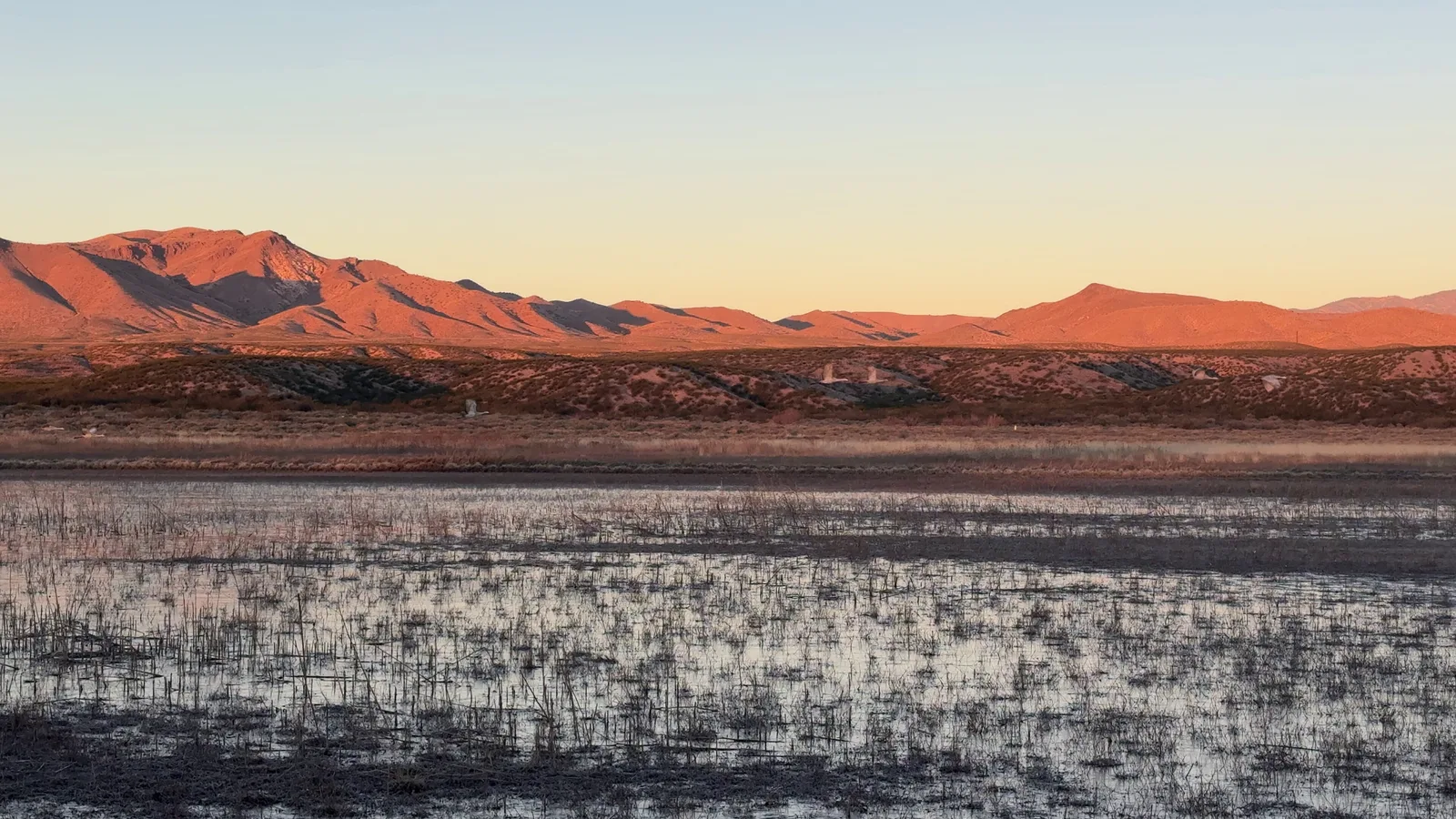 Scenic view of Bosque del Apache National Wildlife Refuge