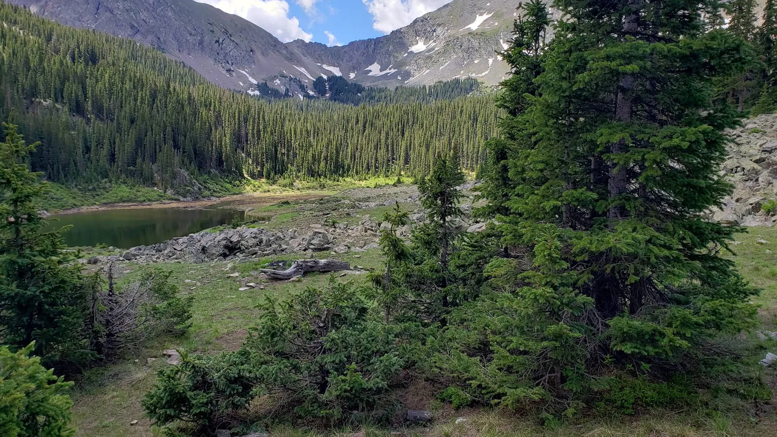 Scenic view of Carson National Forest