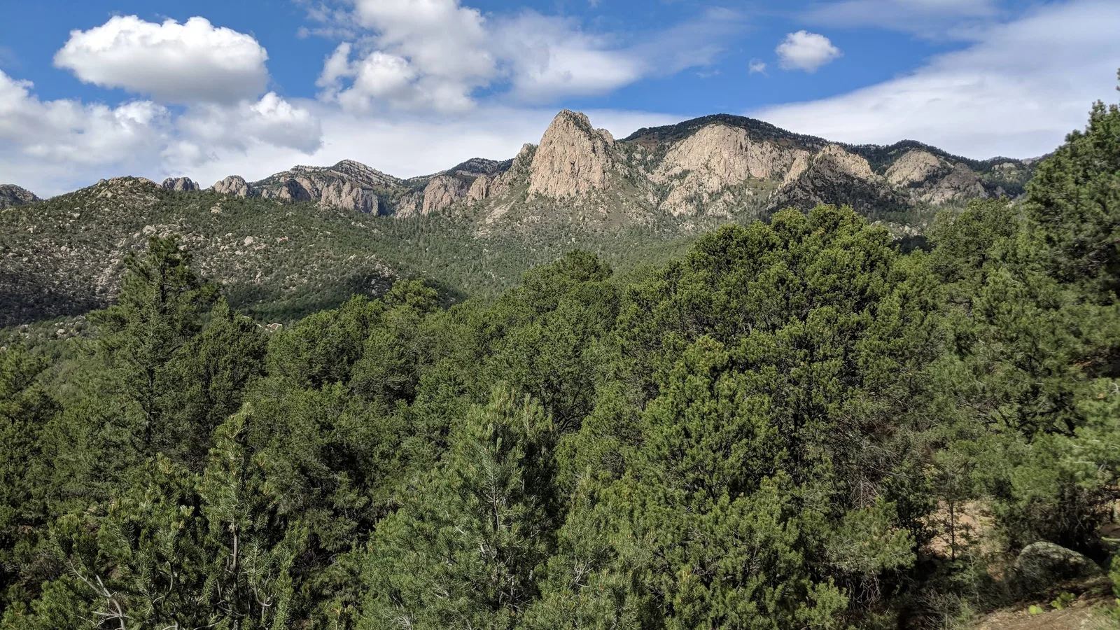 Scenic view of Cibola National Forest