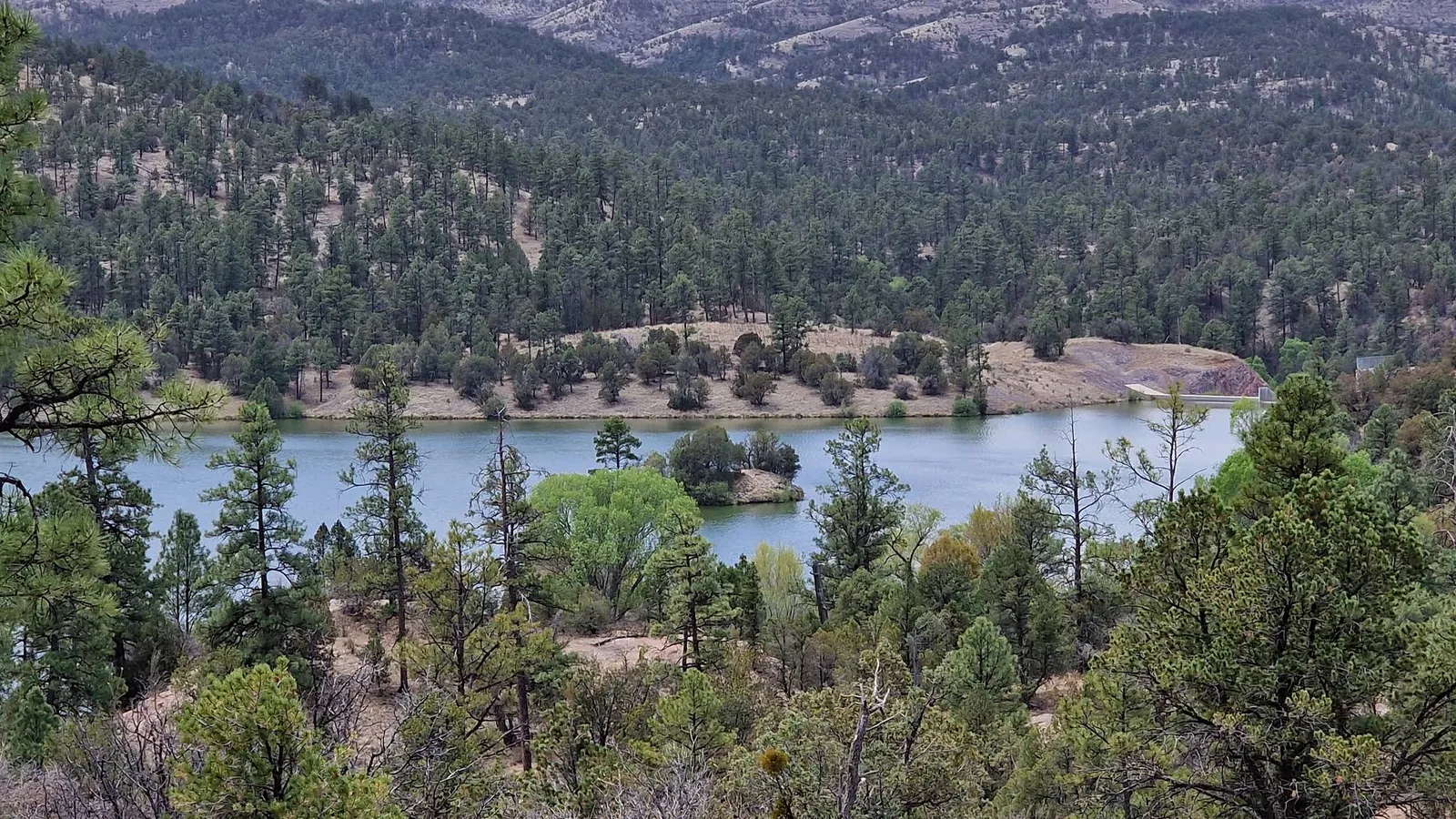 Scenic view of Gila National Forest