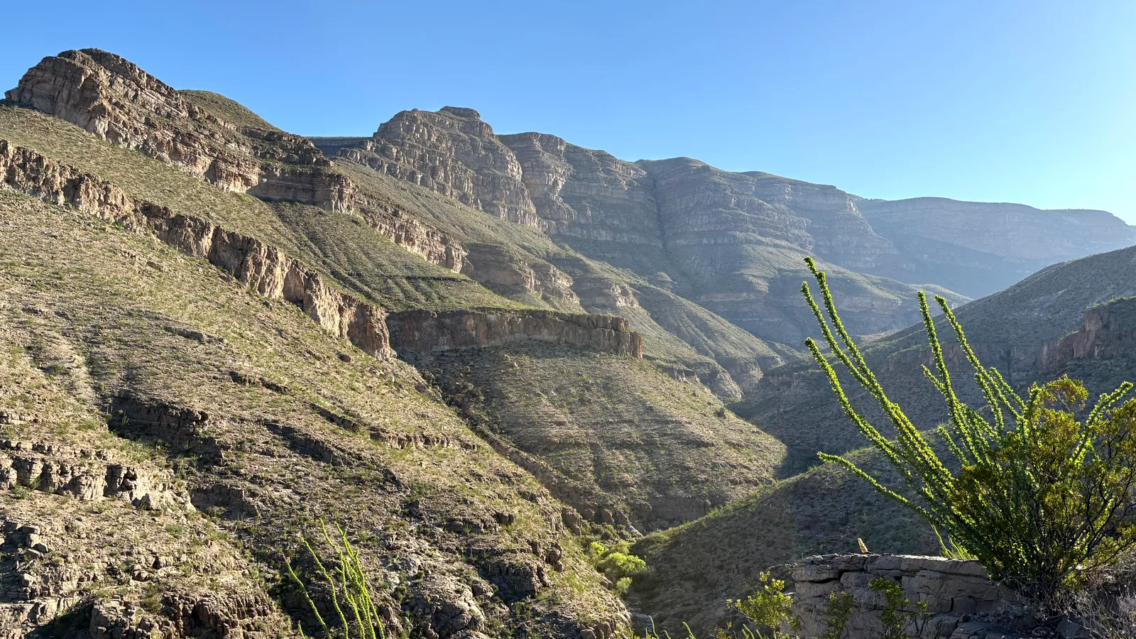 Scenic view of Oliver Lee Memorial State Park