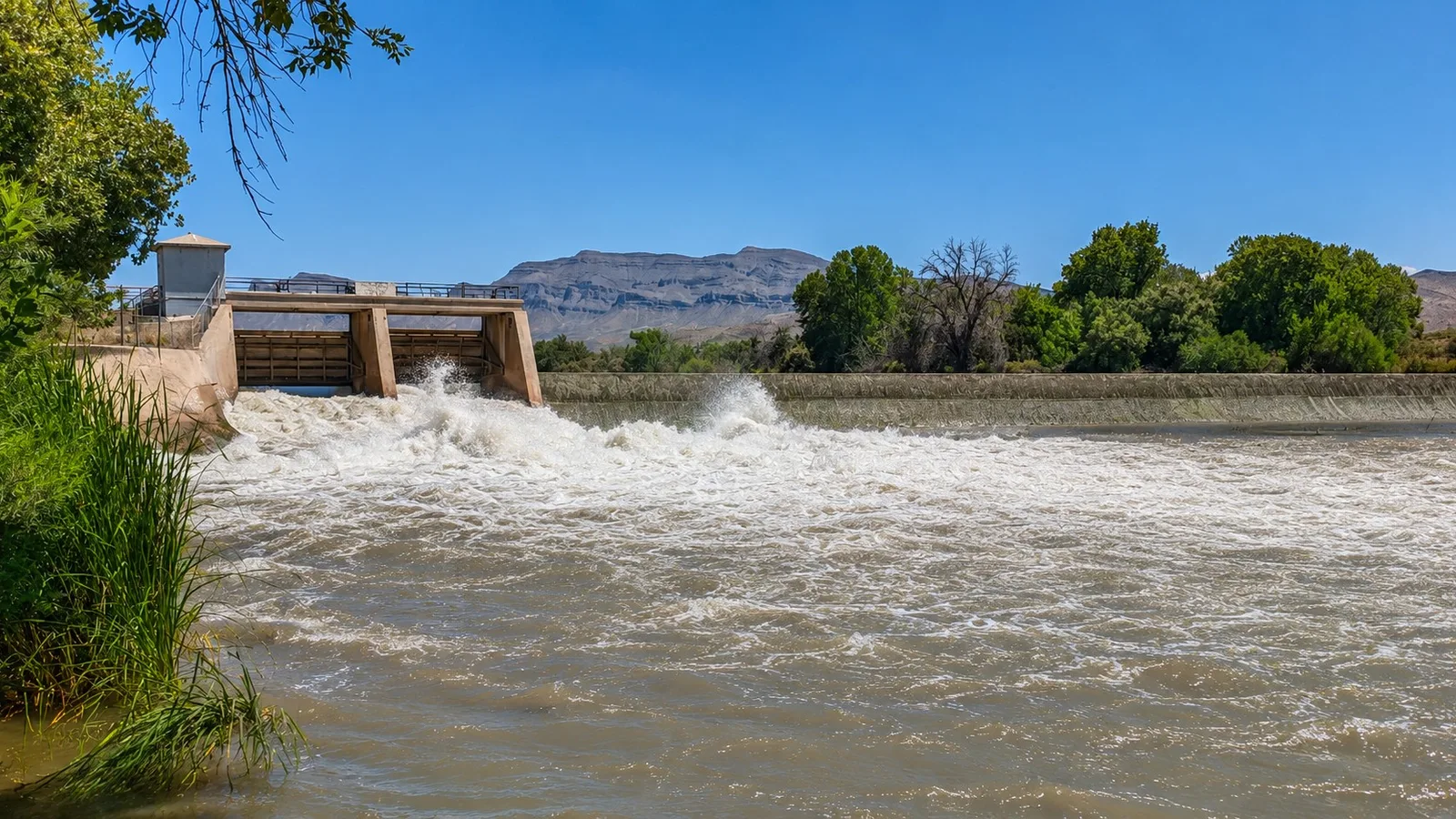 Scenic view of Percha Dam State Park