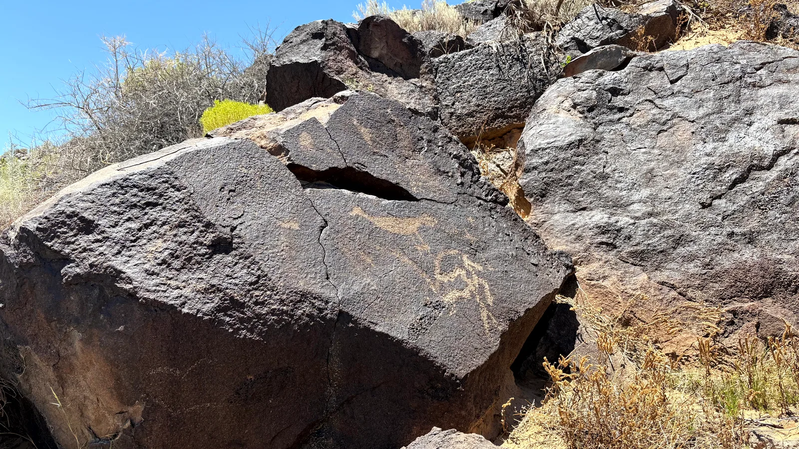 Scenic view of Petroglyph National Monument