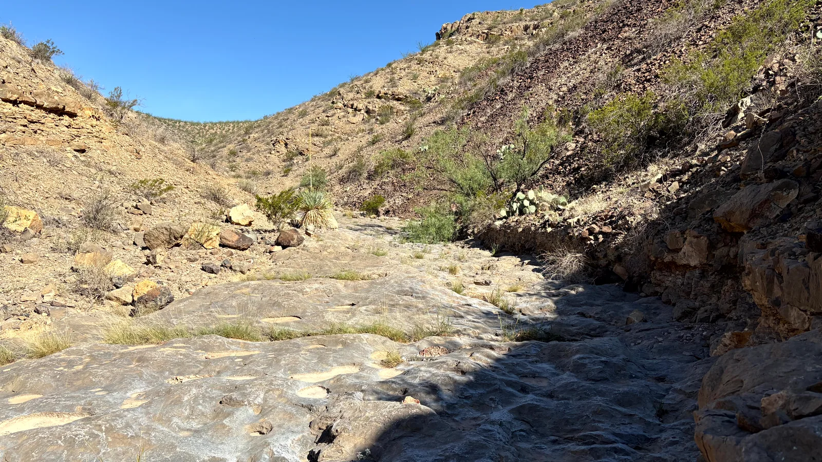 Scenic view of Prehistoric Trackways National Monument