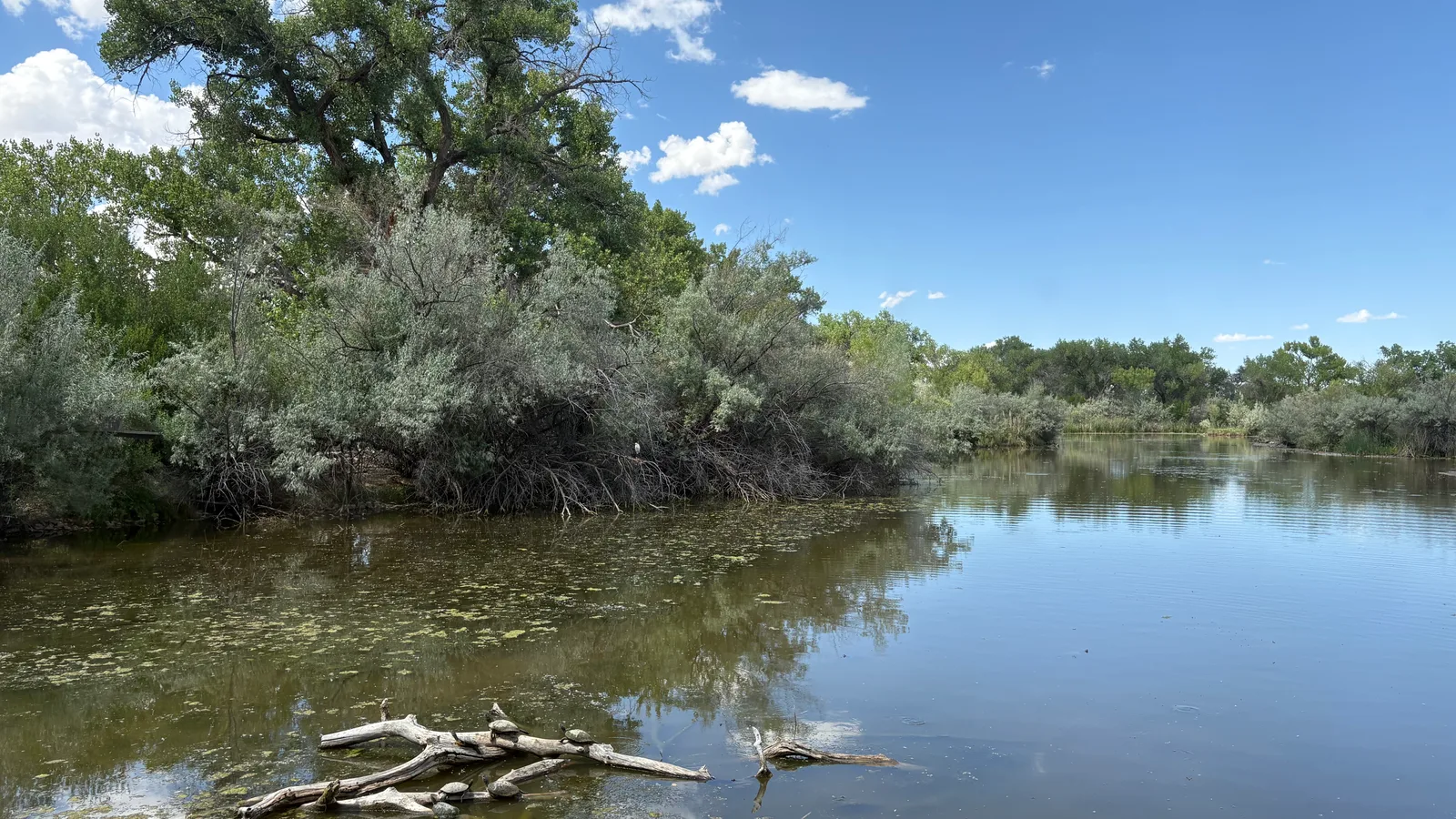 Scenic view of Rio Grande Nature Center State Park