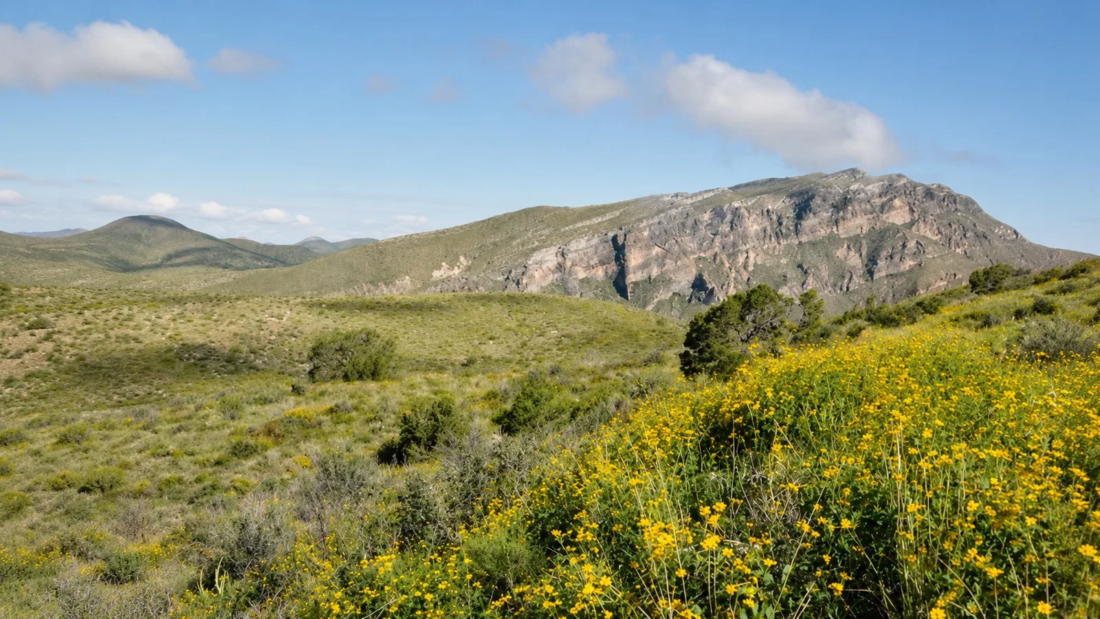 Scenic view of San Andres National Wildlife Refuge