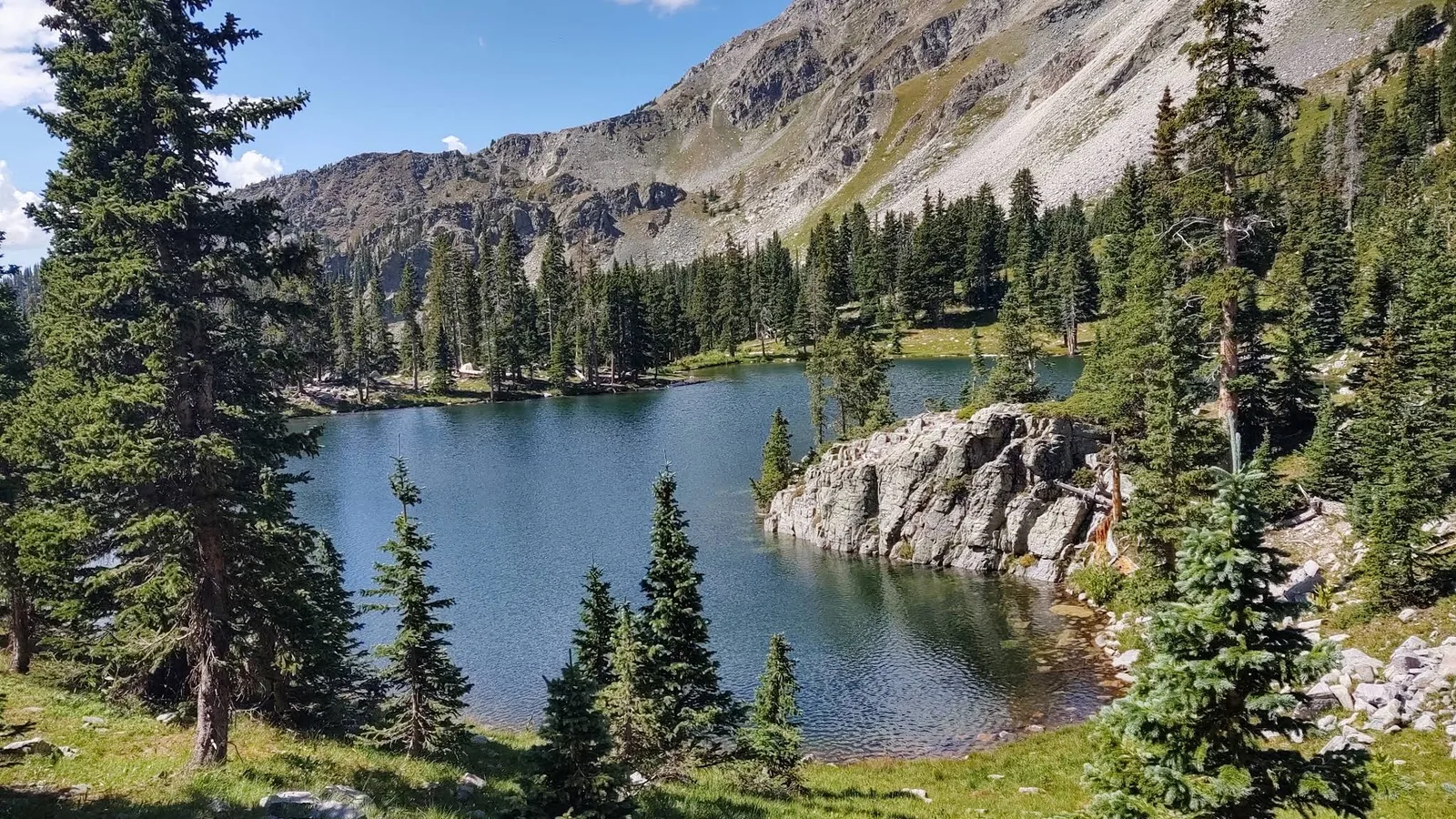Scenic view of Santa Fe National Forest