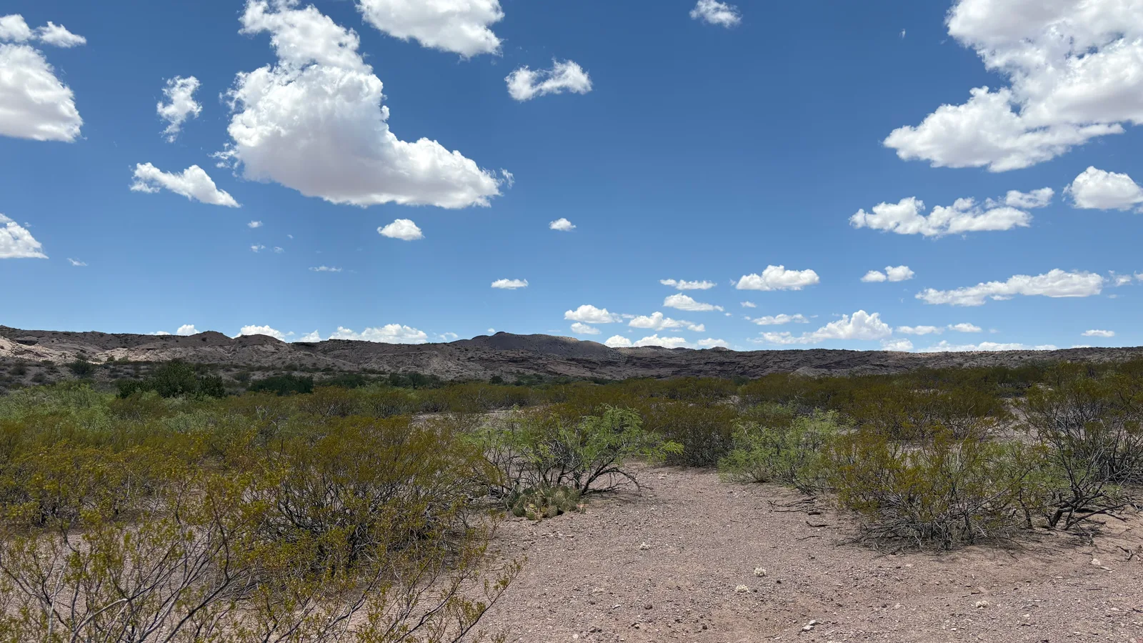 Scenic view of Sevilleta National Wildlife Refuge