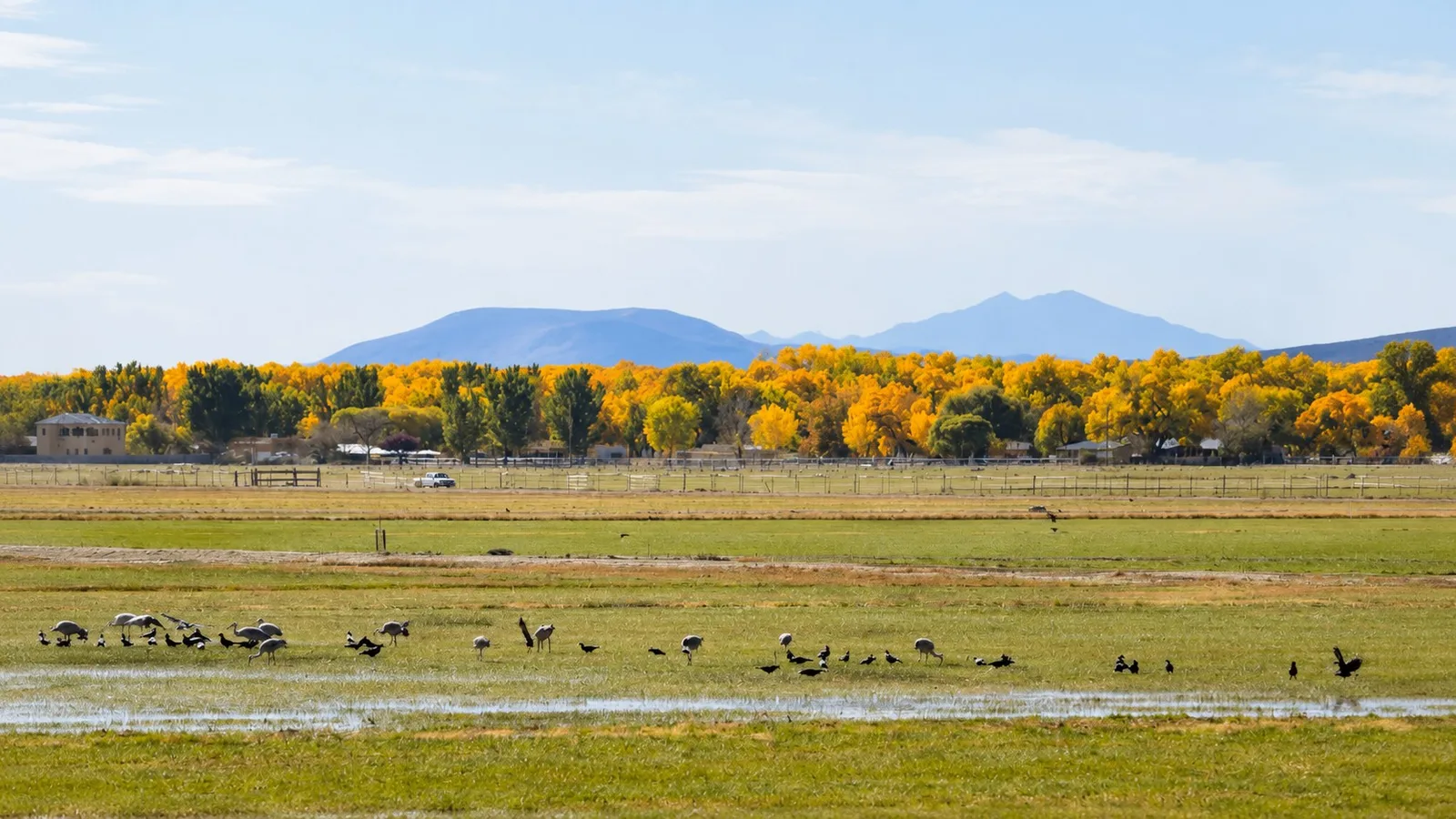 Scenic view of Valle de Oro National Wildlife Refuge