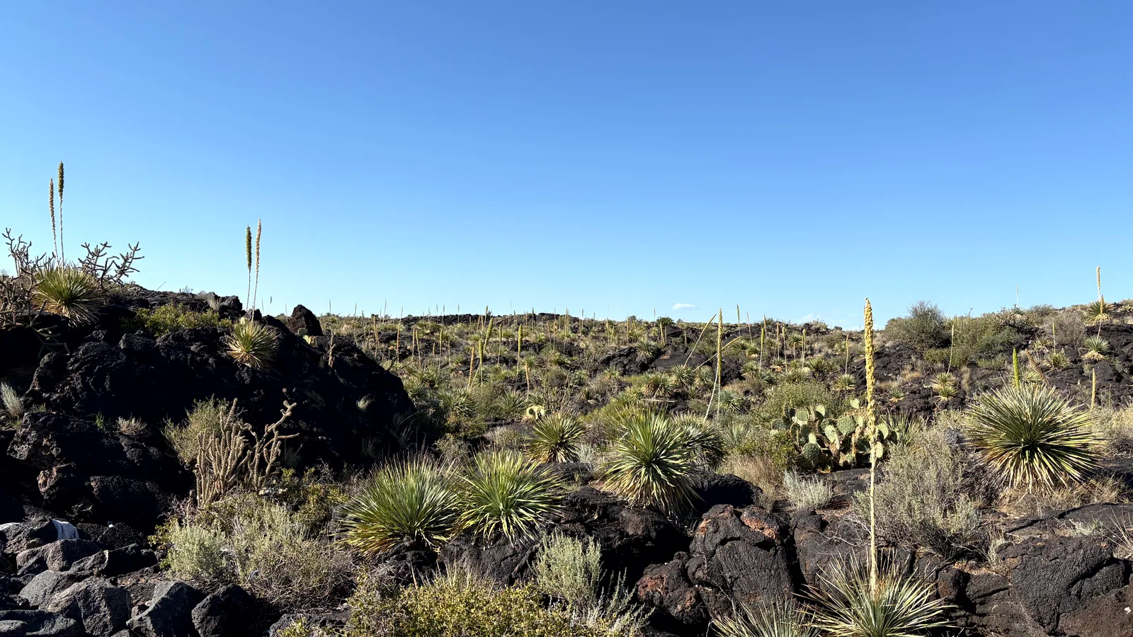 Scenic view of Valley of Fires