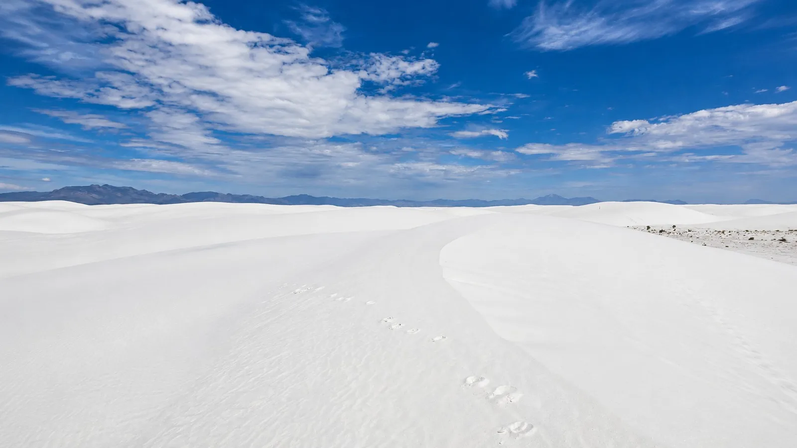 Scenic view of White Sands National Park